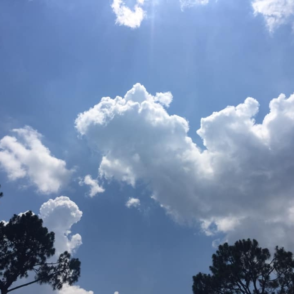 Meet your Posher, Linda